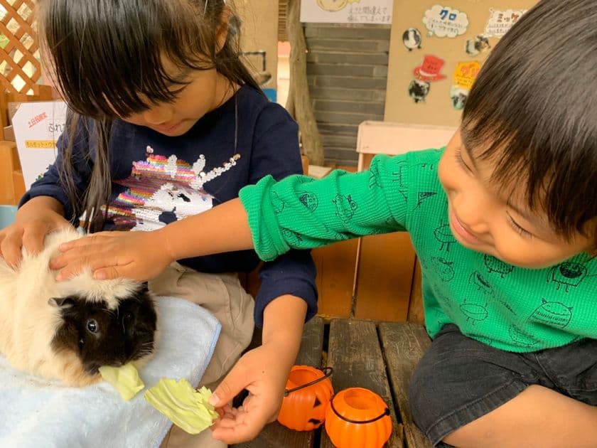 「生きるチカラ」を育む小学生向け体験学習プログラム
『NOUJI学園』第3期受講生を3月22日(月)募集開始！
北九州市「総合農事センター」にて