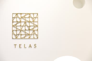 「TELAS(テラス)」