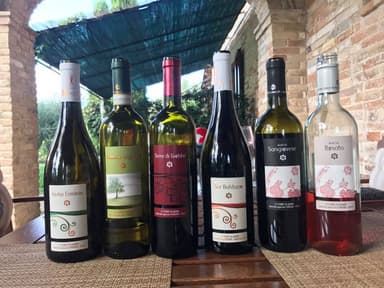 イタリアのオーガニックワイン1