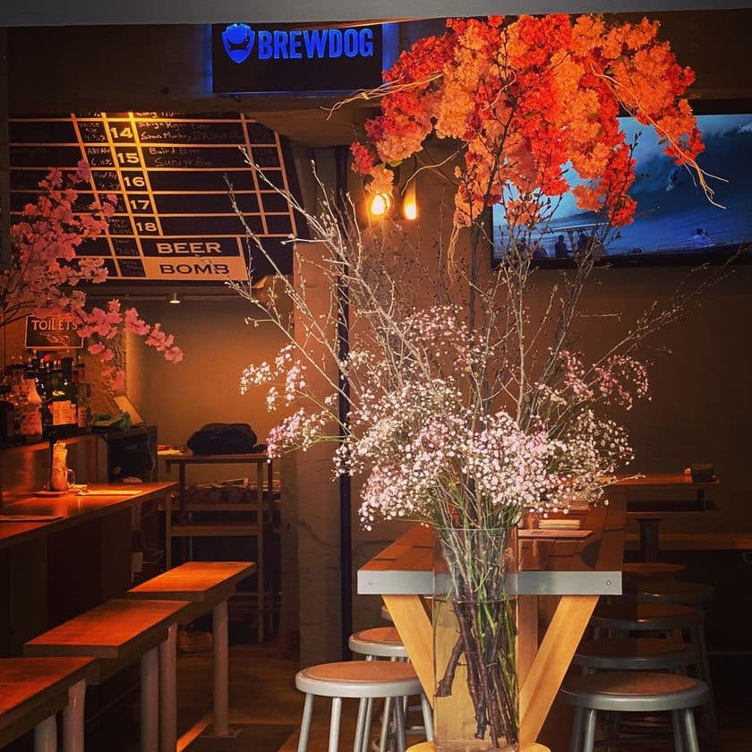 『BEER BOMB新宿/魚丸 立川店』
満開の桜を見ながら美味しい時間を！
飲食店でお花見が楽しめる“#お店花見2021”開催中！
(開催期間：4月11日まで)