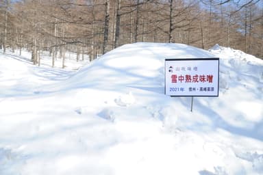 2021年3月　雪中貯蔵中