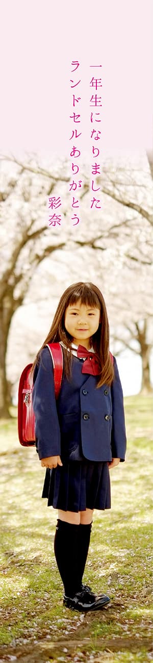 “サンプル”全身を入れたり