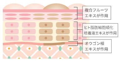 7-説明図