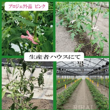 メイン画像(7)