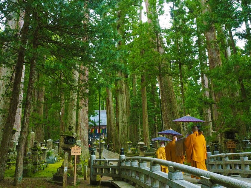 今年は運行期間を拡大！ 「春」・「夏」・「秋」の運行でますます便利になります！
「京都～直通～高野山」 高速バス 2021年4月23日～11月28日 運行