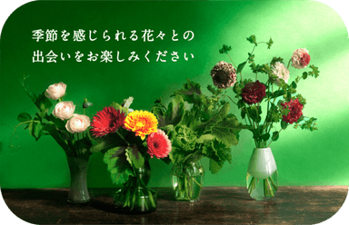 定期便イメージ