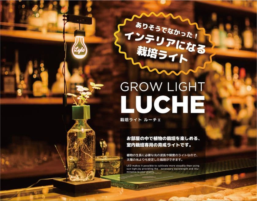 ありそうでなかった！インテリアになる“植物栽培ライト”
「LUCHE」に新デザイン登場！クラウドファンディング 
CAMPFIREで先行販売スタート　＜4月26日(月)まで＞
