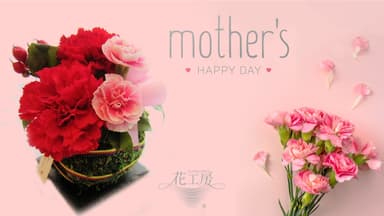 生命花手毬　生花カーネーションアレンジ　苔玉スタイル