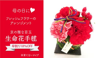 母の日向けリターン商品