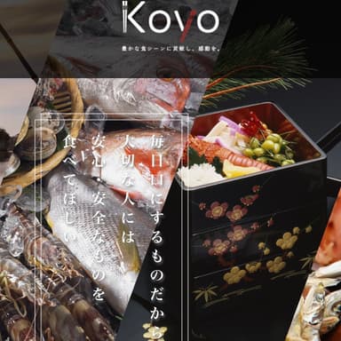 koyoLP画像