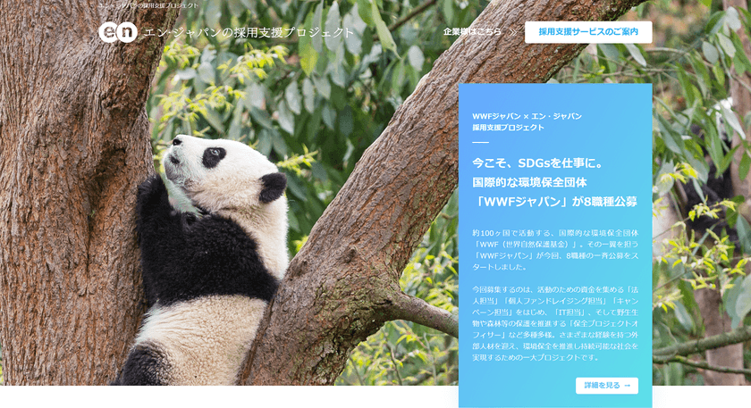 国際NGO「WWFジャパン」の採用支援プロジェクト開始！