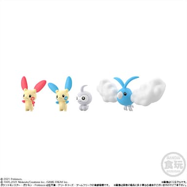 ポケモンスケールワールド ホウエン地方2 (3)