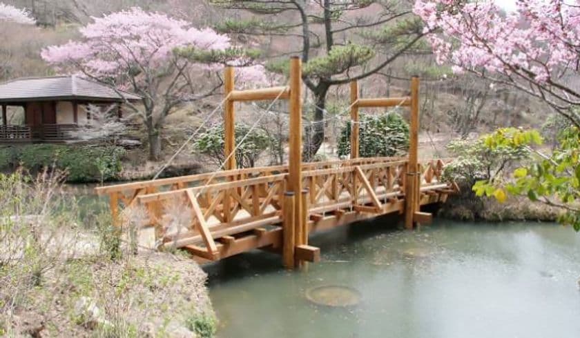 開園88周年を迎える 六甲高山植物園
5月1日（土）記念植樹セレモニーを開催します！
