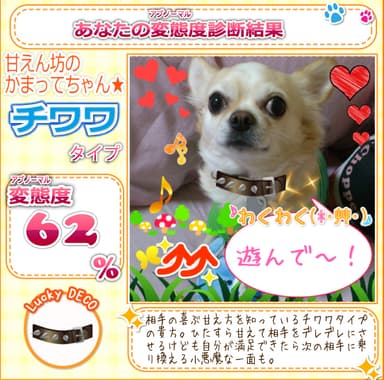 診断結果