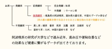 お茶の分類図