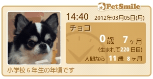 PetSmile ～年齢時計～