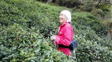 ひのはら紅茶 戸田さん