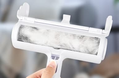 本体内イメージ