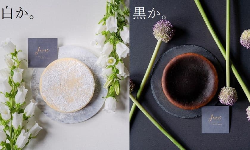 売り切れ続出！人気のJune CHEESECAKEが
新作チーズテリーヌ「ＳＩＲＯＭＵＫＵ」を
Makuake限定で6月17日に先行販売開始！