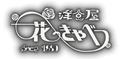 洋食屋 花きゃべつ