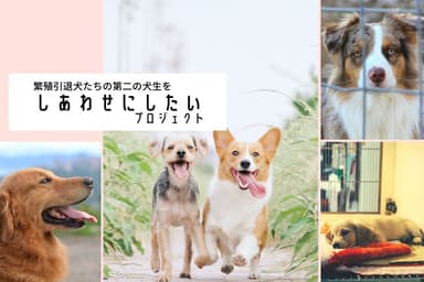 プロジェクト