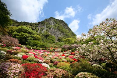 御船山楽園のつつじ谷