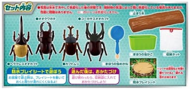 セット内容
