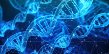 成分(5) RNAイメージ