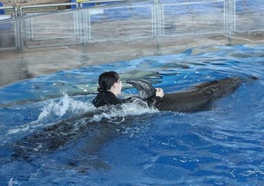 ※画像はイメージです。