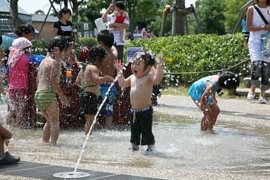 霧の遊び場