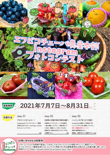 フォトコンチラシ
