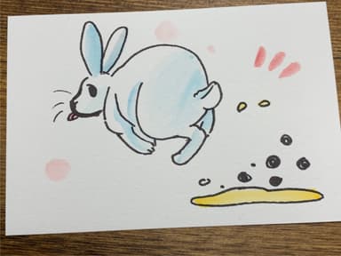 動育使用アイテム