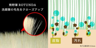 毛先クローズアップ
