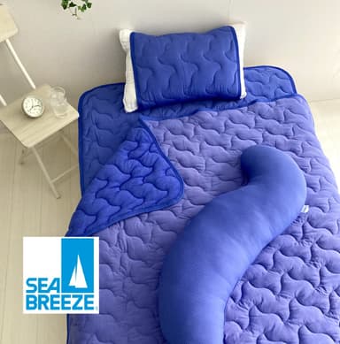 SEA BREEZE NV