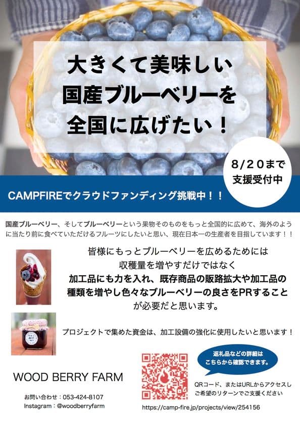 こんなに大きくておいしいブルーベリーがある！
静岡県浜松市のブルーベリーのクラウドファンディングを
8月20日まで実施