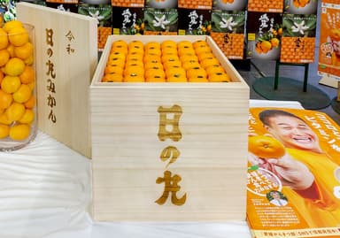 2020年東京大田市場の初競りで、1箱100万円で落札された八幡浜産のみかん