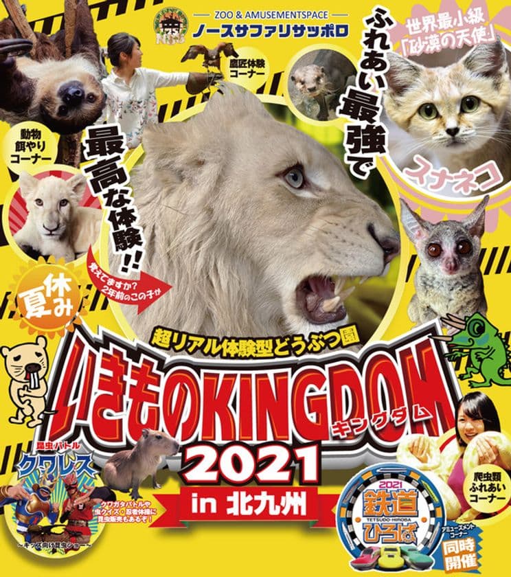 夏休みは、ふれあい最強で最高の体験をしよう！
8/22(日)までの期間限定 超リアル体験型どうぶつ園
「いきものキングダム2021in北九州」を大好評開催中！
鉄道ひろばも同時開催中！！