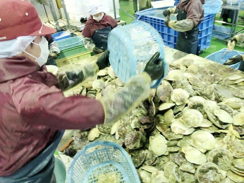コロナ禍で需要減の農林水産物生産者を救う　
販路多様化緊急対策事業参画イベント送料無料キャンペーンを開催
　期間：2021年9月30日まで