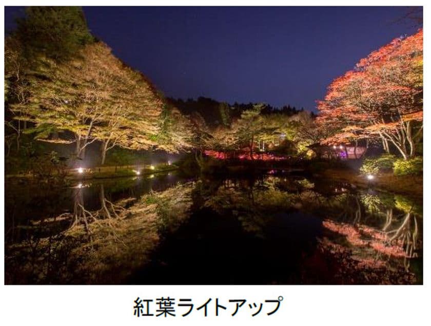 一足早い紅葉のライトアップと夜間限定公開のアートを楽しむ
六甲高山植物園 「夜の紅葉散策」「ザ・ナイトミュージアム」
10月16日(土)～11月23日(火・祝)同時開催！