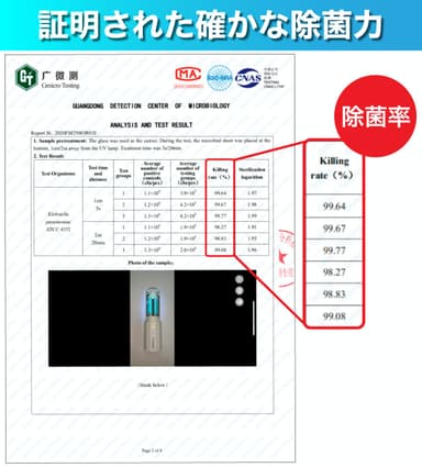 検証結果