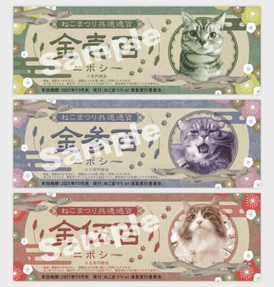 ニボシー