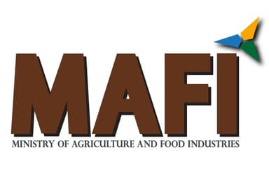 MAFI