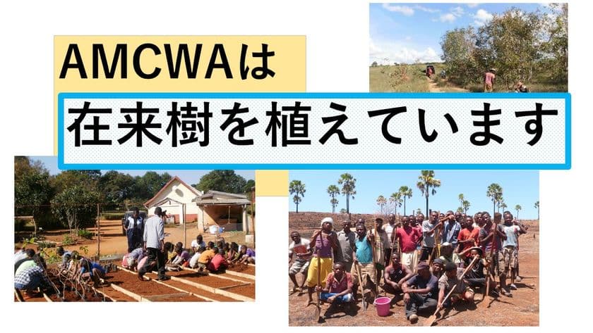 マダガスカルで在来樹による自然回復を目的にCAMPFIREにて
クラウドファンディングを開始　終了まで残りわずか