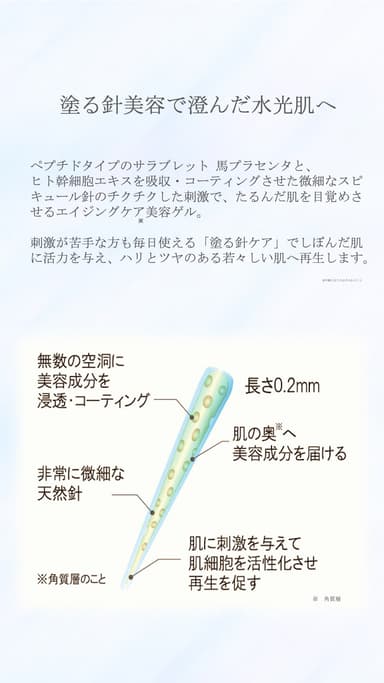 冊子2P