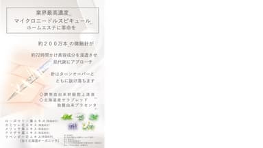 ブランドパンフレット内面資料