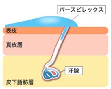 イラスト1