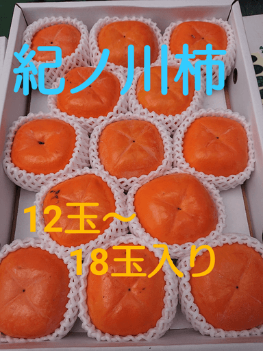 紀の川柿 10月から