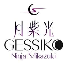 月紫光運営会