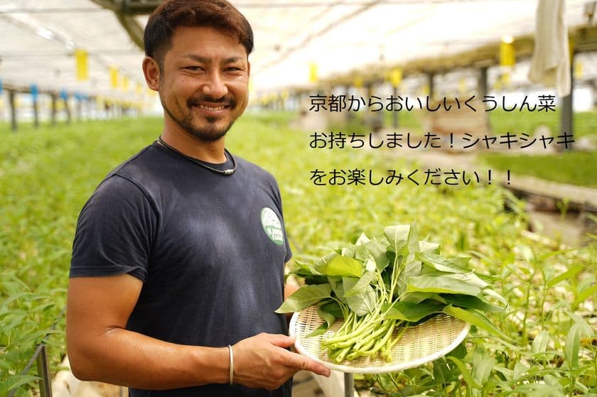 「京のくうしん菜」の販路を拡大　
～栄養満点、京のくうしん菜をあなたの食卓へ～