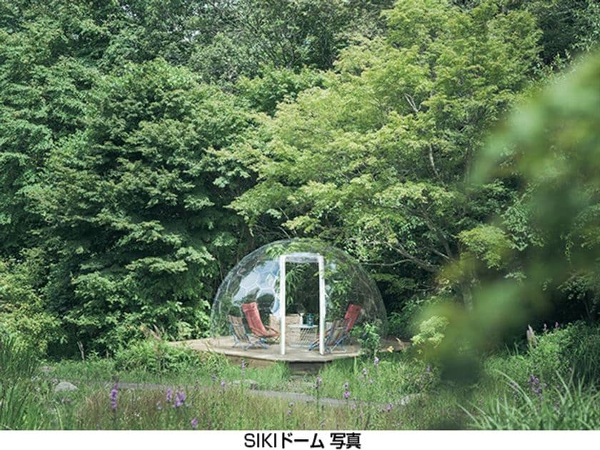 秋の六甲山で特別なひとときを！
＼ROKKO森の音(ね)ミュージアム
貸切ドームでピクニック体験／